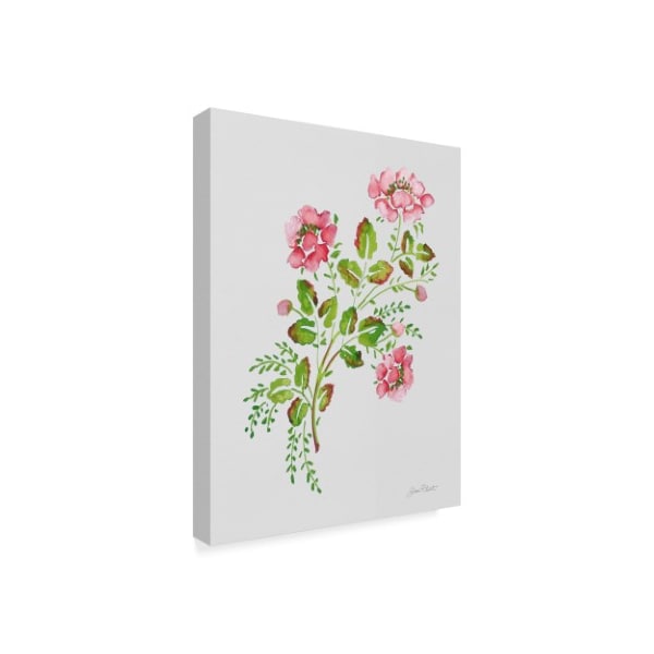 Jean Plout 'Wild Rose Pink 1' Canvas Art,18x24